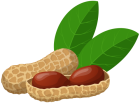 Peanuts PNG Clip Art - High-quality PNG Clipart Image from ClipartPNG.com