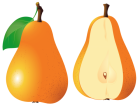 Pears Fruit PNG Clipart - High-quality PNG Clipart Image from ClipartPNG.com
