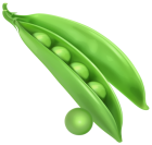 Peas PNG Clipart - High-quality PNG Clipart Image from ClipartPNG.com