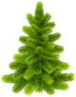 Pine Tree PNG Clip Art  - High-quality PNG Clipart Image from ClipartPNG.com