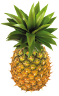 Pineapple Fruit PNG Clipart - High-quality PNG Clipart Image from ClipartPNG.com