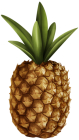 Pineapple PNG Clipart  - High-quality PNG Clipart Image from ClipartPNG.com