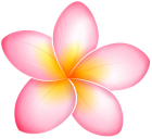 Pink Exotic Flower PNG Clip Art - High-quality PNG Clipart Image from ClipartPNG.com