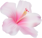 Pink Hibiscus PNG Clip Art  - High-quality PNG Clipart Image from ClipartPNG.com