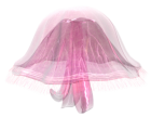 Pink Jellyfish PNG Image - High-quality PNG Clipart Image from ClipartPNG.com