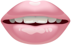 Pink Mouth PNG Clip Art - High-quality PNG Clipart Image from ClipartPNG.com