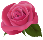 Pink Rose PNG Clipart Image  - High-quality PNG Clipart Image from ClipartPNG.com