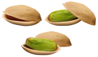 Pistachio PNG Clip Art - High-quality PNG Clipart Image from ClipartPNG.com