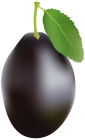 Plum PNG Clip Art - High-quality PNG Clipart Image from ClipartPNG.com