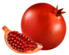 Pomegranate PNG Clipart - High-quality PNG Clipart Image from ClipartPNG.com