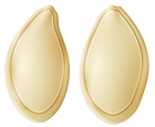 Pumpkin Seeds PNG Clip Art - High-quality PNG Clipart Image from ClipartPNG.com