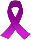 Purple Awareness Ribbon PNG Clipart - High-quality PNG Clipart Image from ClipartPNG.com
