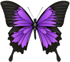 Purple Butterfly PNG Clip Art - High-quality PNG Clipart Image from ClipartPNG.com