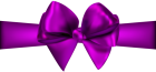 Purple Ribbon with Bow PNG Clip Art  - High-quality PNG Clipart Image from ClipartPNG.com