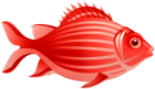 Red Fish PNG Clip Art  - High-quality PNG Clipart Image from ClipartPNG.com
