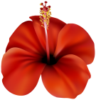 Red Flower PNG Clip Art  - High-quality PNG Clipart Image from ClipartPNG.com