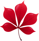 Red Leaf PNG Clip Art  - High-quality PNG Clipart Image from ClipartPNG.com