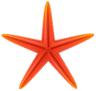 Red Starfish PNG Clip Art - High-quality PNG Clipart Image from ClipartPNG.com