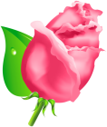 Rose Bud PNG Clipart - High-quality PNG Clipart Image from ClipartPNG.com