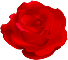 Rose Red PNG Clipart  - High-quality PNG Clipart Image from ClipartPNG.com