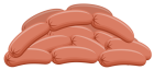Sausages PNG Clip Art  - High-quality PNG Clipart Image from ClipartPNG.com