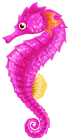 
Seahorse PNG Clip Art