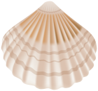 Seashell PNG Clip Art  - High-quality PNG Clipart Image from ClipartPNG.com