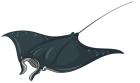 Skate Fish PNG Clipart  - High-quality PNG Clipart Image from ClipartPNG.com