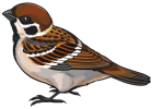 Sparrow PNG Clipart  - High-quality PNG Clipart Image from ClipartPNG.com