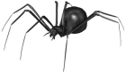 Spider PNG Clip Art - High-quality PNG Clipart Image from ClipartPNG.com