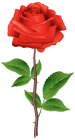Stem Red Rose PNG Clipart  - High-quality PNG Clipart Image from ClipartPNG.com