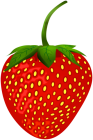 Strawberry PNG Clip Art  - High-quality PNG Clipart Image from ClipartPNG.com