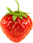 Strawberry PNG Clipart Image - High-quality PNG Clipart Image from ClipartPNG.com