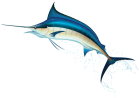 Swordfish PNG Clip Art  - High-quality PNG Clipart Image from ClipartPNG.com