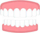 Teeth PNG Clip Art