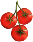 Tomato Branch PNG Clipart - High-quality PNG Clipart Image from ClipartPNG.com