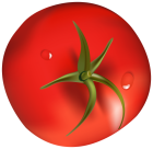 Tomato PNG Clipart  - High-quality PNG Clipart Image from ClipartPNG.com