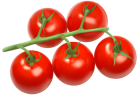 Tomatoes Branch PNG Clipart - High-quality PNG Clipart Image from ClipartPNG.com