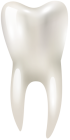 Tooth PNG Clip Art  - High-quality PNG Clipart Image from ClipartPNG.com