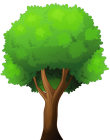 Tree PNG Clip Art  - High-quality PNG Clipart Image from ClipartPNG.com