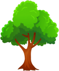 Tree PNG Clip Art  - High-quality PNG Clipart Image from ClipartPNG.com