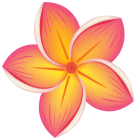Tropical Flower PNG Clipart  - High-quality PNG Clipart Image from ClipartPNG.com