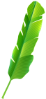 Tropical Leaf PNG Clip Art  - High-quality PNG Clipart Image from ClipartPNG.com