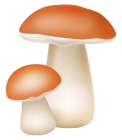 Two Mushrooms PNG Cliaprt  - High-quality PNG Clipart Image from ClipartPNG.com