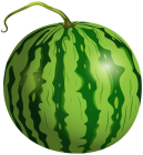 Watermelon PNG Clip Art  - High-quality PNG Clipart Image from ClipartPNG.com