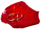 Wedding Rings in Rose Petal PNG Clip Art - High-quality PNG Clipart Image from ClipartPNG.com