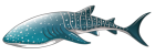 Whale Shark PNG Clipart - High-quality PNG Clipart Image from ClipartPNG.com