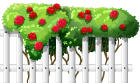 White Fence with Roses PNG Clipart - High-quality PNG Clipart Image from ClipartPNG.com