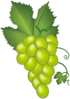 White Grape Cluster PNG Clip Art - High-quality PNG Clipart Image from ClipartPNG.com