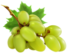 White Grapes PNG Clipart  - High-quality PNG Clipart Image from ClipartPNG.com